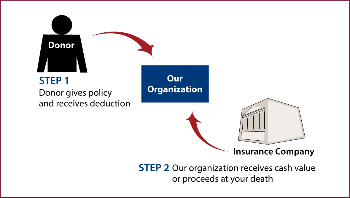 Life Insurance Policy Thumbnail